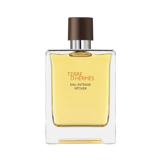 Hermes Terre d'Hermes Intense Vetiver100ml for men perfume (Tester)