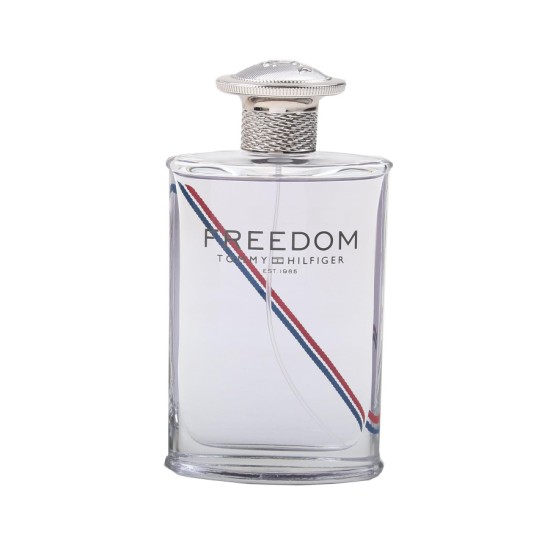 Tommy Hilfiger Freedom 100ml for men (Tester)